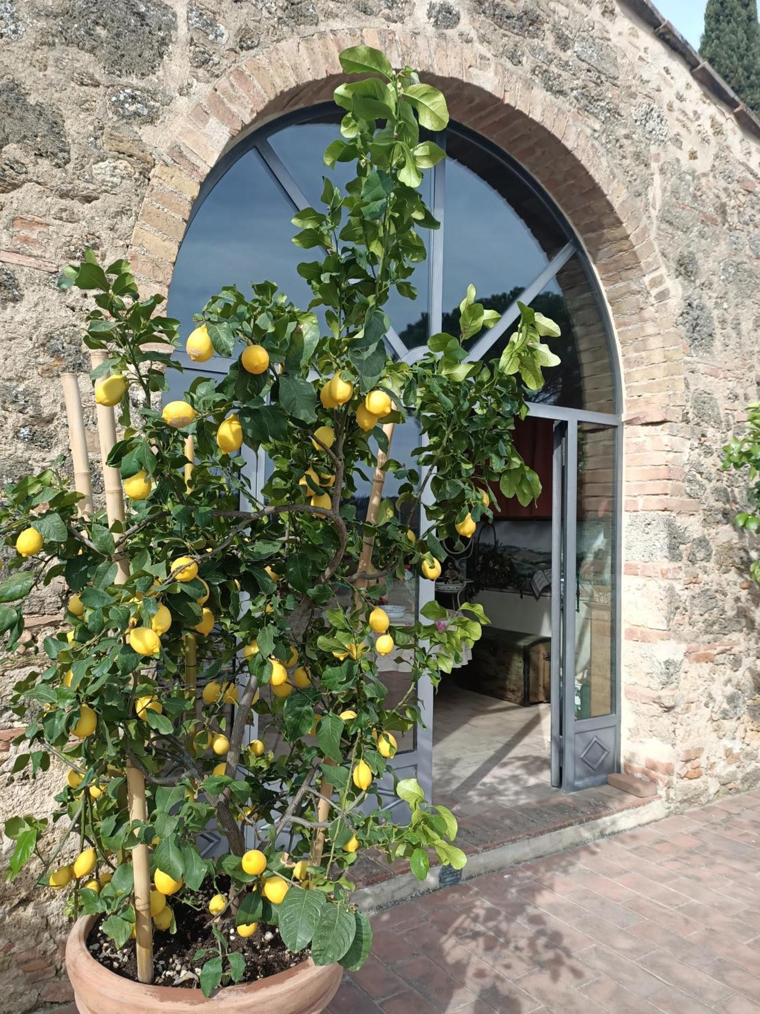 פוג'יבונסי Relais Antico Borgo San Lorenzo מראה חיצוני תמונה